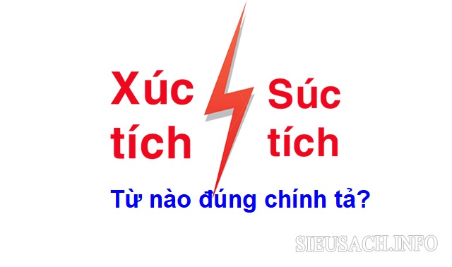 Súc tích là từ đúng chính tả