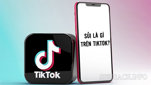 Sủi trên Tiktok là những video thể hiện sự hào hứng, vui vẻ