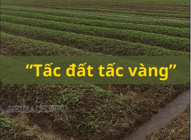 Tấc đất tấc vàng là câu tục ngữ được ông cha ta truyền lại khuyên răn con cháu