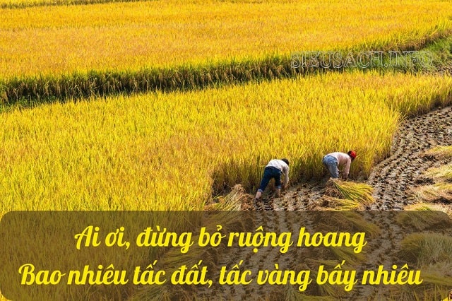 Tấc đất tấc vàng là câu tục ngữ mang nhiều ý nghĩa sâu sắc