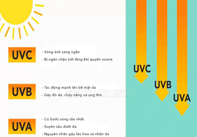 Tác hại của tia UV