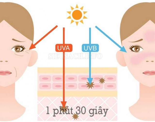 Tác hại tia UV