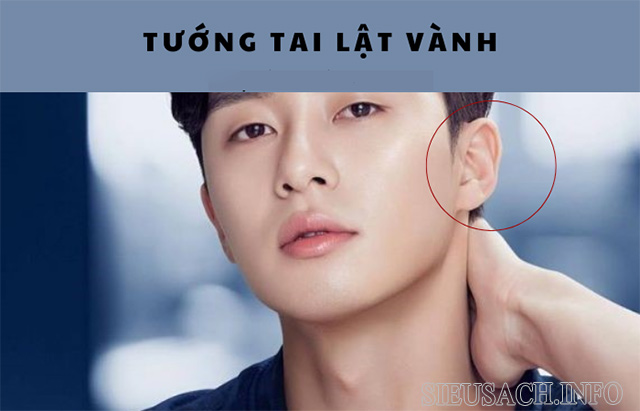 Tướng vành tai lật ngược nam giới