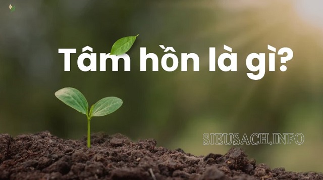 Tâm hồn là j?