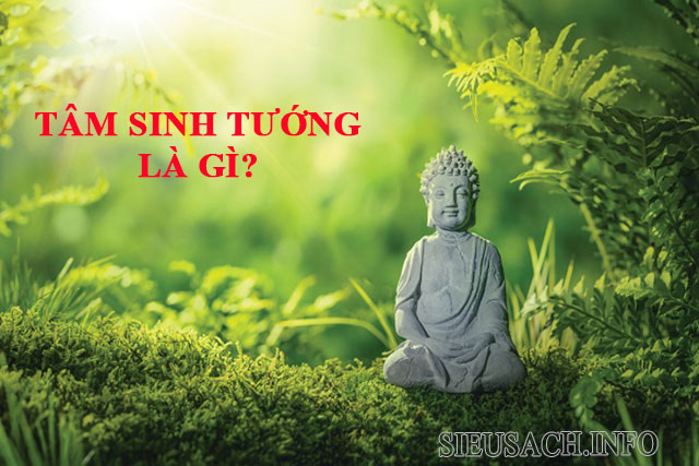 Ý nghĩa của câu nói tâm sinh tướng