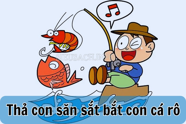 Hình ảnh minh họa thả con săn sắt bắt con cá rô