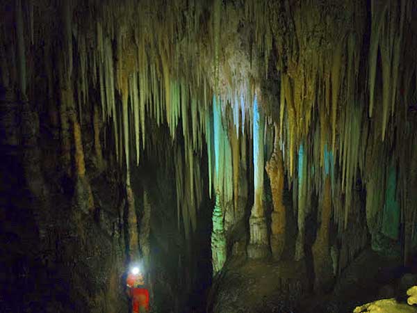 Hang động thạch nhũ - đá vôi ở Phong Nha, Quảng Bình