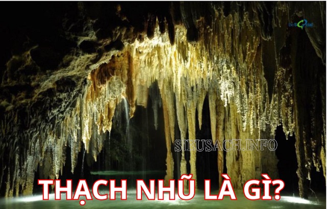 Thạch nhũ là dạng vật chất, có nhiều hình thù khác nhau