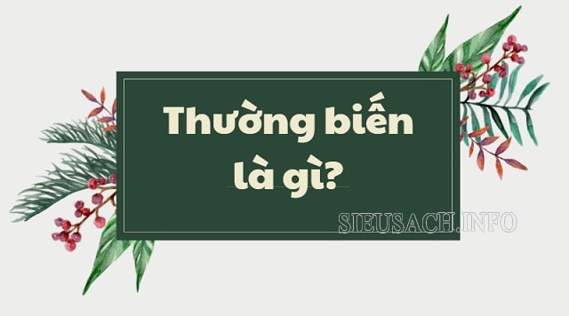 Thường biến là sự biến đổi về kiểu hình do yếu tố môi trường