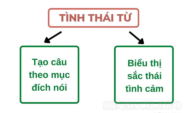 tinh-thai-tu-la-gi