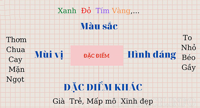 tinh-tu-chi-dac-diem