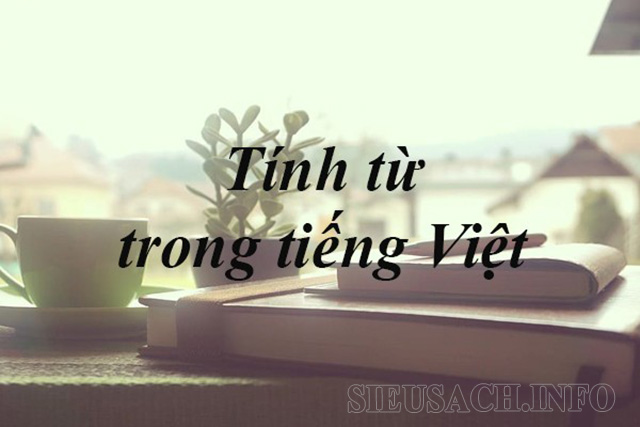 tinh-tu-trong-tieng-viet-la-gi