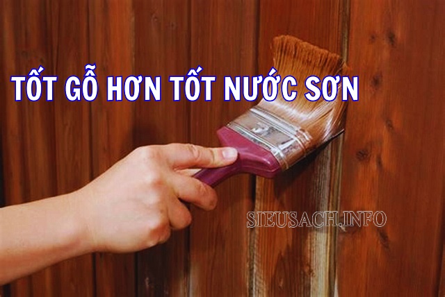 Câu tục ngữ tốt gỗ hơn tốt nước sơn