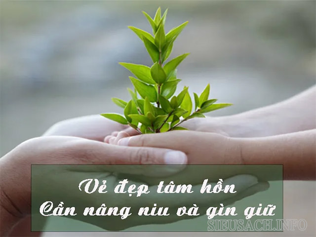 Vẻ đẹp tâm hồn là điều mà mỗi người cần phải nâng niu, giữ gìn