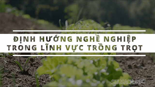 Định hướng nghề nghiệp trong ngành nghề trồng trọt