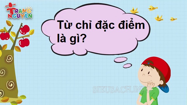 Từ chỉ đặc điểm là những từ dùng để mô tả, gọi tên sự vật