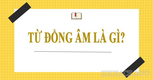 Từ đồng âm là những từ phát âm giống nhau nhưng ngữ nghĩa khác nhau