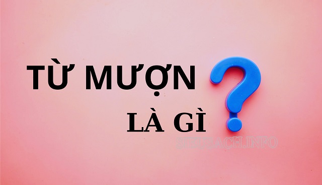 Từ mượn là từ được vay mượn từ nước ngoài để làm đa dạng tiếng Việt