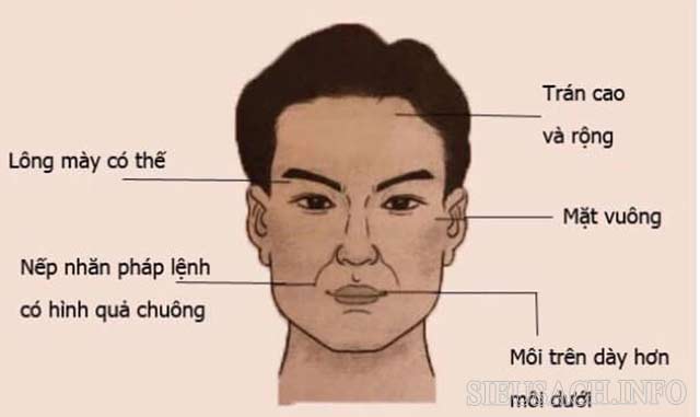 Tướng mặt đàn ông lãnh đạo