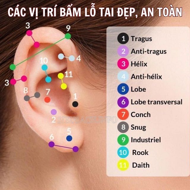 Các vị trí bấm lỗ tai đẹp, an toàn và ấn tượng