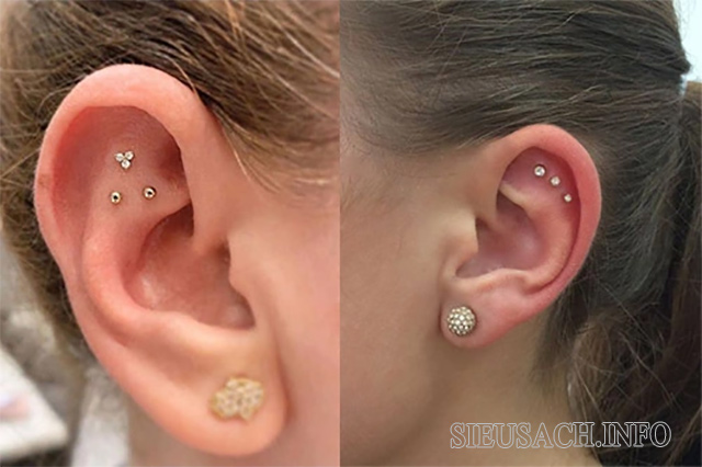 Vị trí bấm lỗ tai Flat Piercing