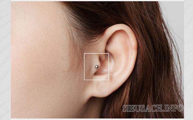 Vị trí bấm lỗ tai Tragus