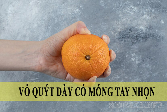 Câu tục ngữ vỏ quýt dày có móng tay nhọn