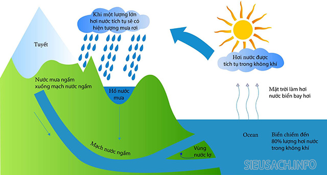 Chu kỳ vòng tuần hoàn của nước diễn ra nhiều giai đoạn