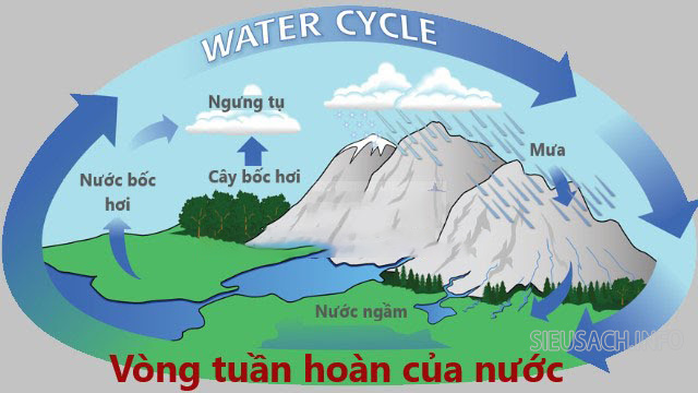 Vòng tuần hoàn của nước là sự tồn tại vận động của nước trên Trái Đất